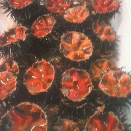 Mare E Relax 公寓 萨维勒特里